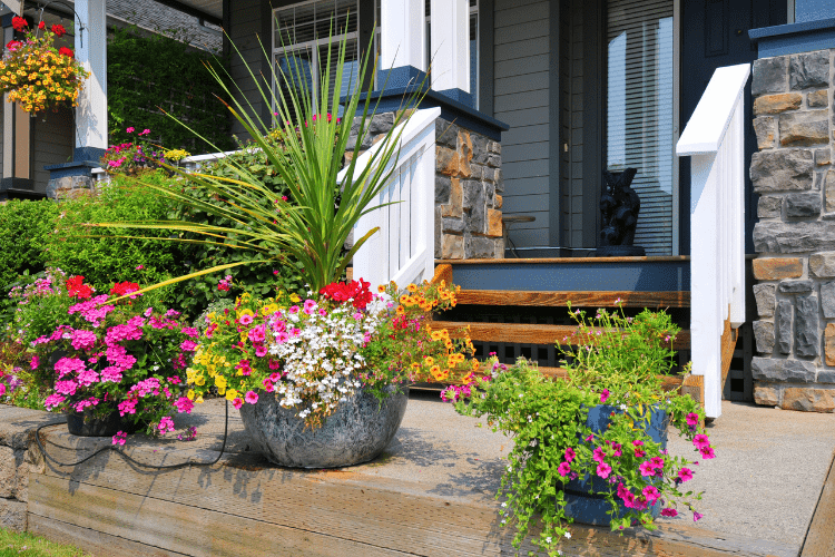 Front Porch Planters