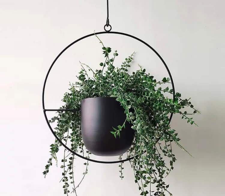 Modern Halo Hanging Metal Planter