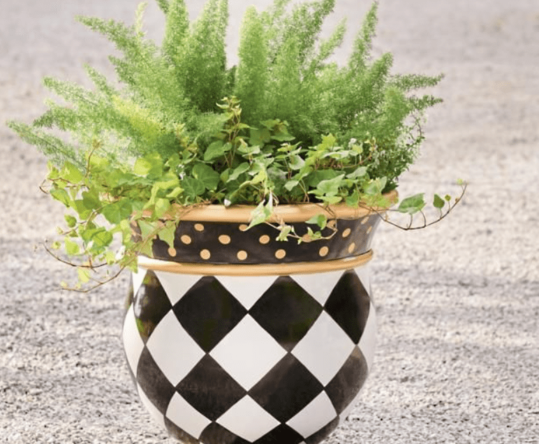 Zara Mini Black Harlequin Mini Planters