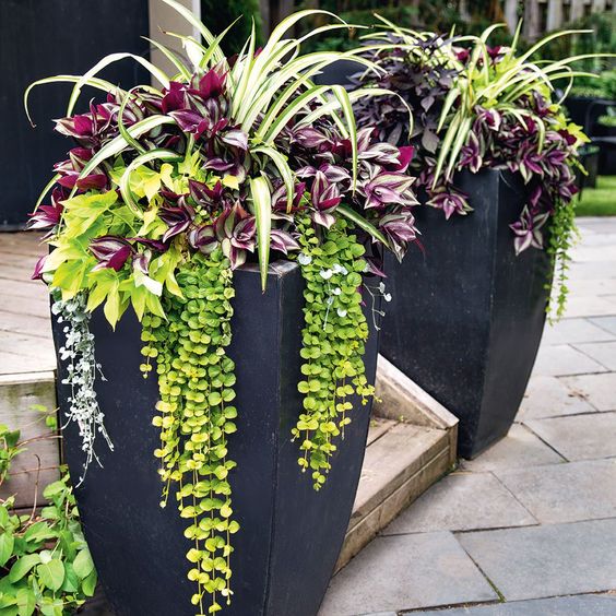 Green Nature Inspired Planters