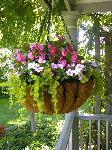 Shade Flower Basket