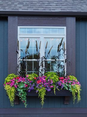 Window Sill Flowerbed