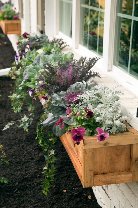 Wood Window Boxes