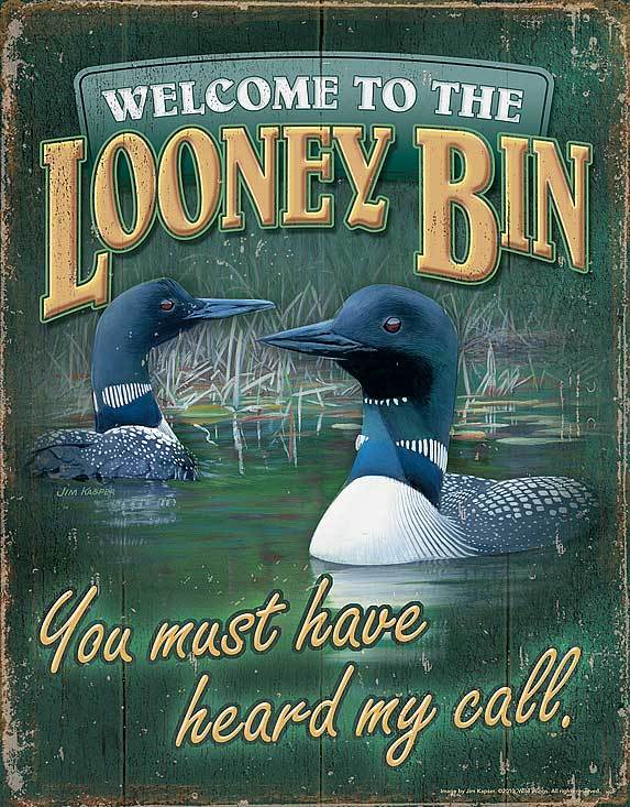 Looney Bin Porch Sign