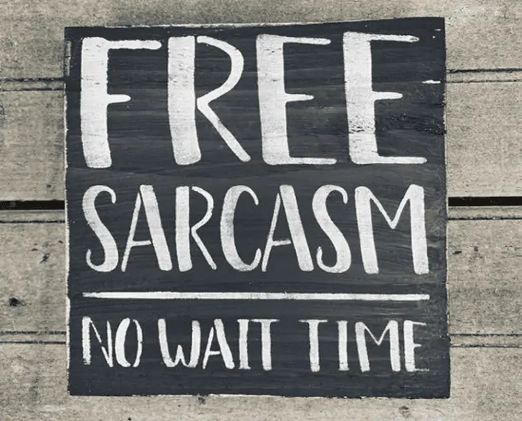 Free Sarcasm Porch Sign