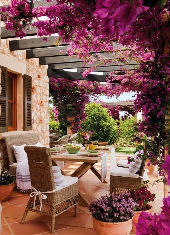 Pergola With Planted Creepers Porch Roof