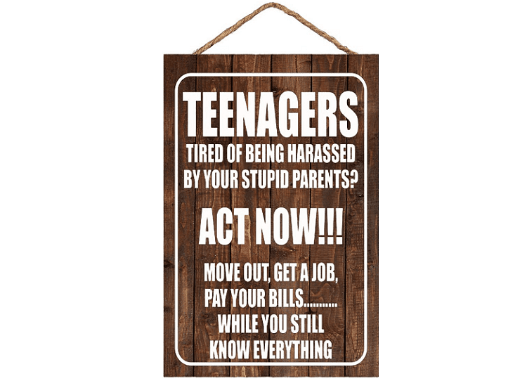 Wooden Teenagers Sign