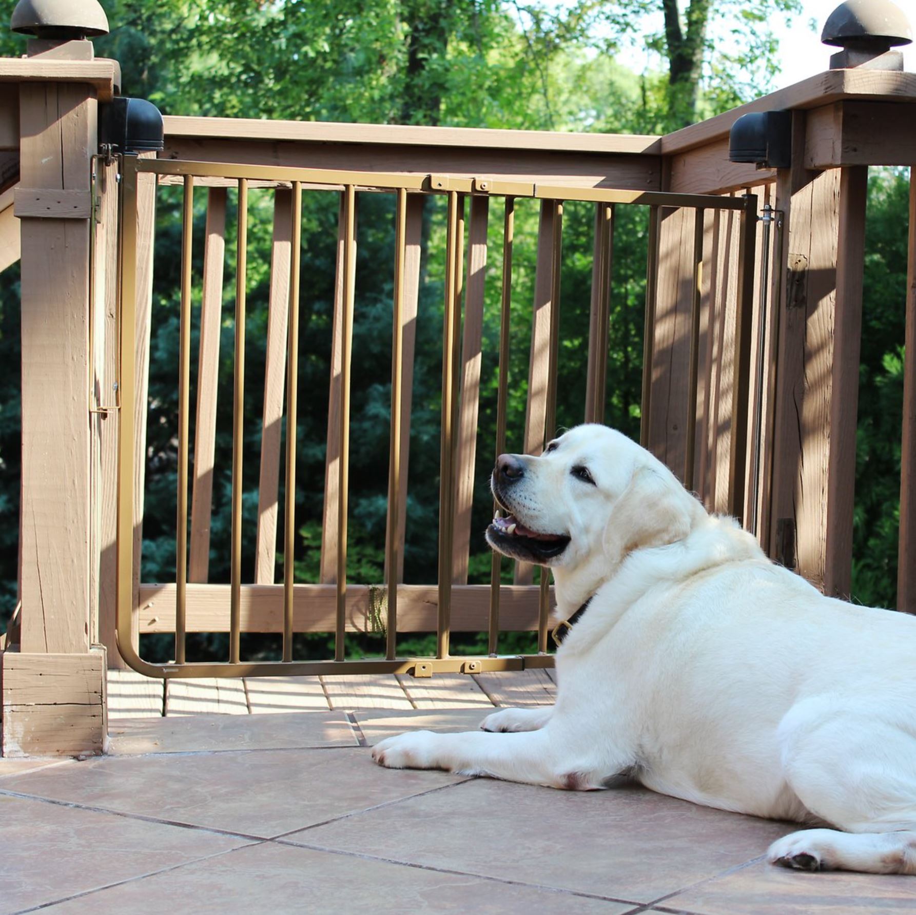 Cardinal Outdoor Porch Gates