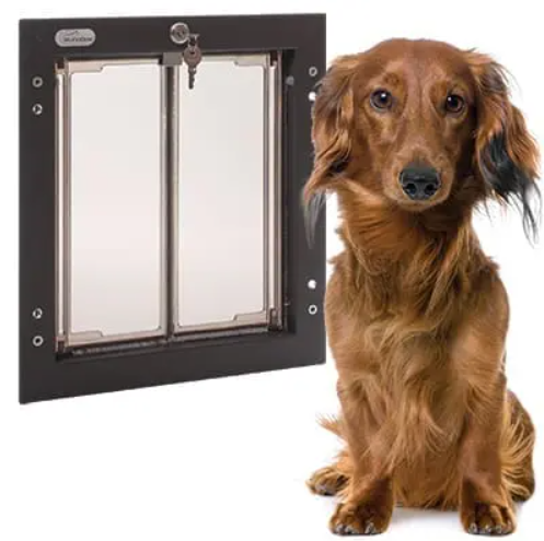 PlexiDor: A Better Fit for Giant Dogs