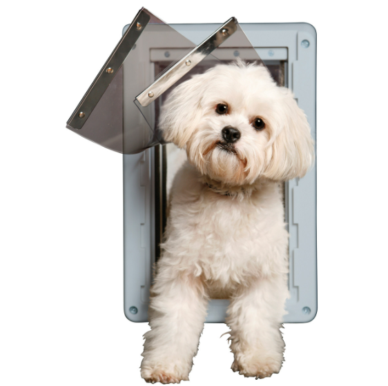 Ideal Pet Ruff Weather: The Closest Budget Alternative to PetSafe