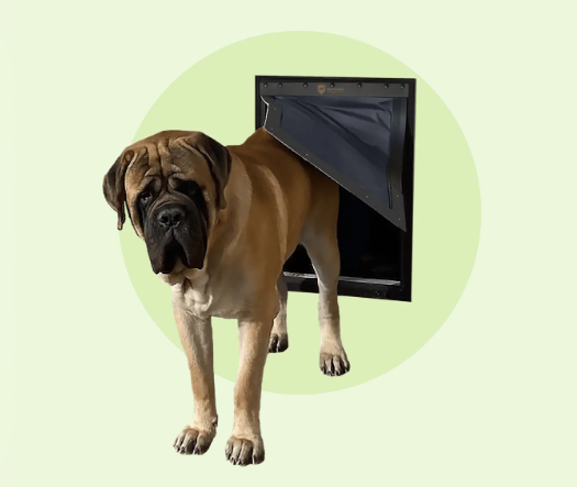 PetSafe Extreme Weather Alternatives