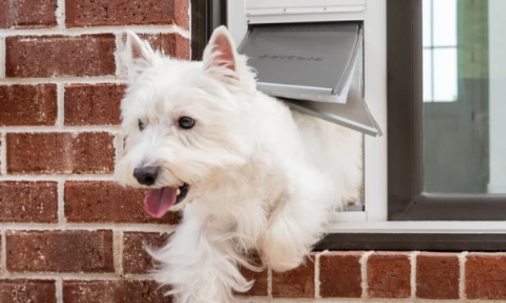 Best Dog Doors for Cold Weather