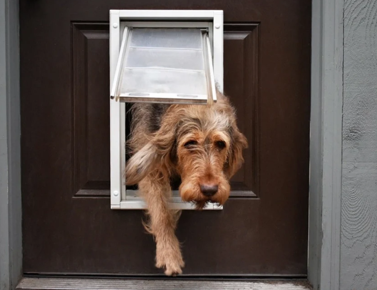 Endura Flap Door Mount Pet Door