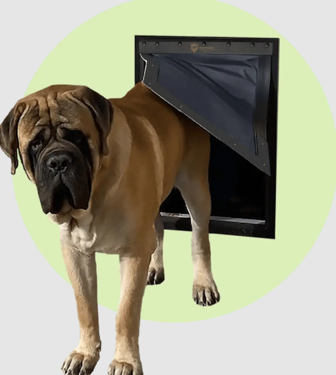 RANGER Pet Doors Dog Doors for Doors