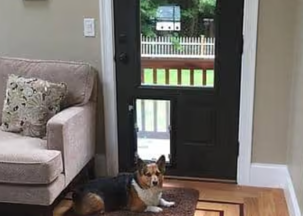 Hale Pet Door Door Model Pet Door